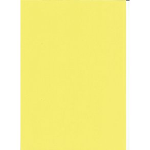Katon kanariegul A4