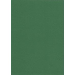A5 karton mrk grn