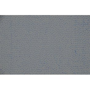 Bali hvid medysebl prikker